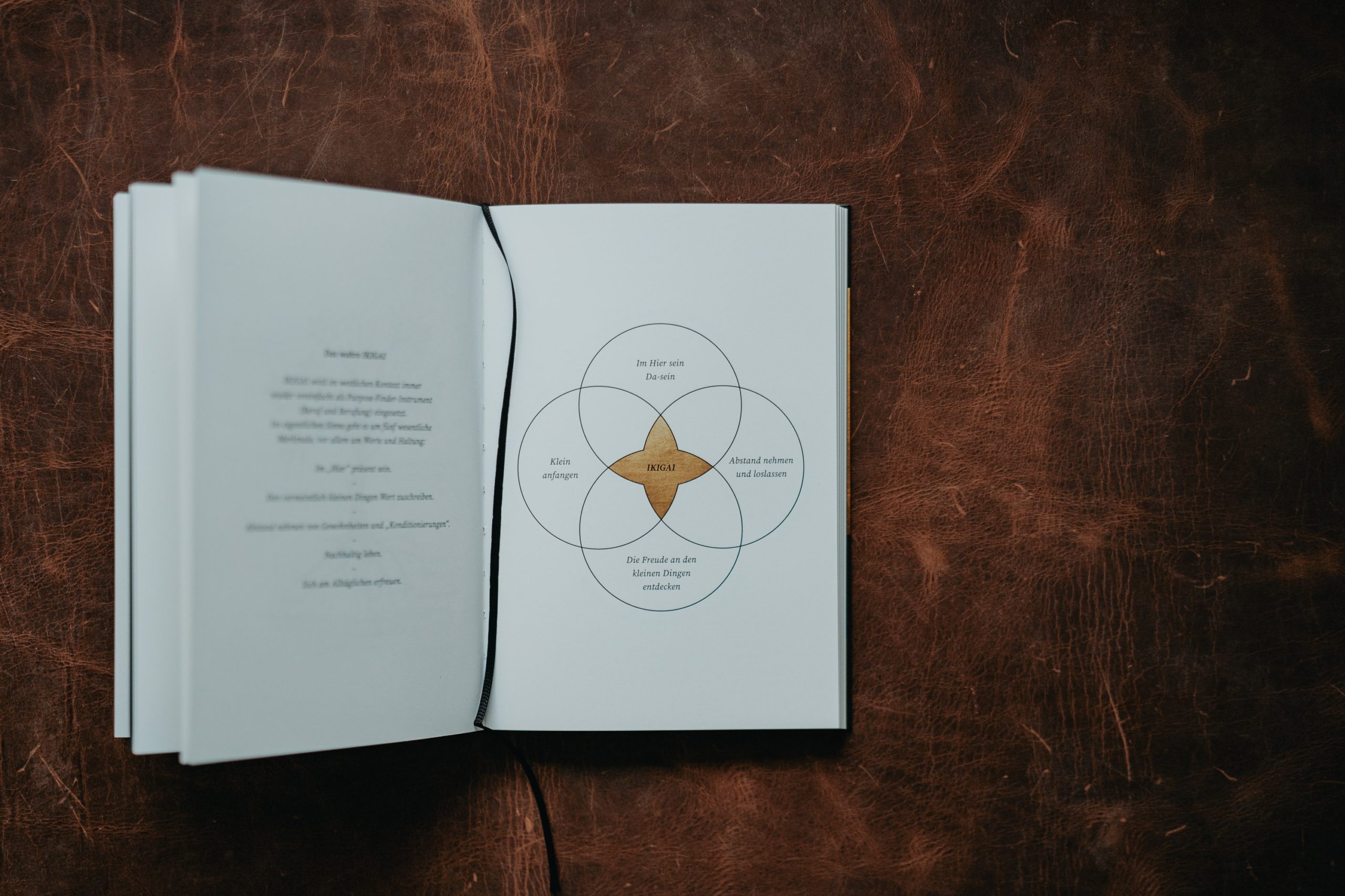What is IKIGAI and how you use it to find your own career sweet spot